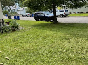 Steve H.'s lawn service service result