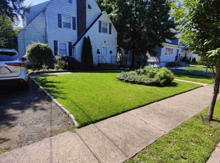 Paul M.'s lawn care service result