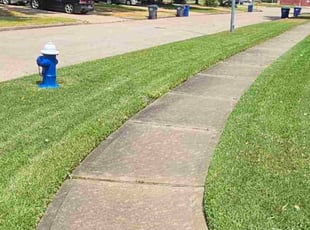Dustin L.'s turf care service result
