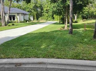 Allen H.'s landscaping service result