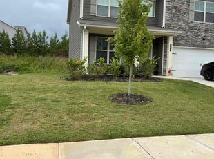 Jun J.'s grass cutting service result