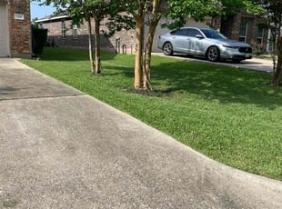 Kate W.'s lawn care services service result