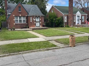 Dina R.'s Long Grass Cleanup service result