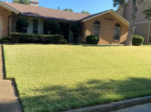 Latrice L.'s turf maintenance service result