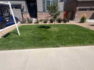 Jordan B.'s lawn maintenance service result