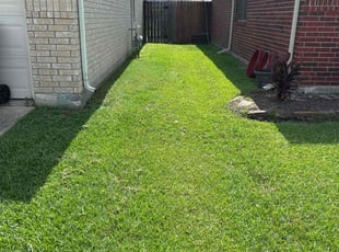 Michael F.'s lawn care service result