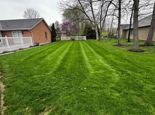 Sami C.'s lawn maintenance service result