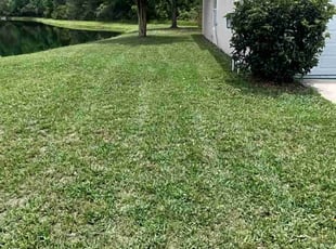 Paul T.'s lawn care services service result