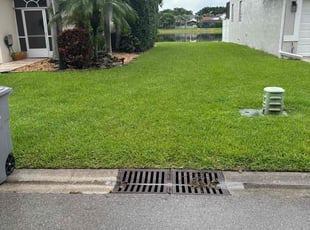 Elizabeth C.'s grass cutting service result