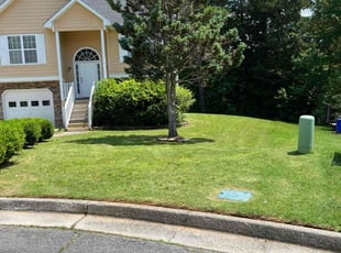Rhiannon R.'s lawn care service result