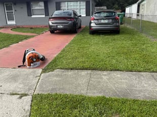 Tyree F.'s grass maintenance service result