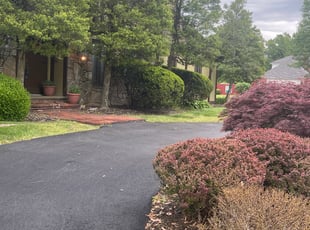 Susan K.'s Bush Trimming service result