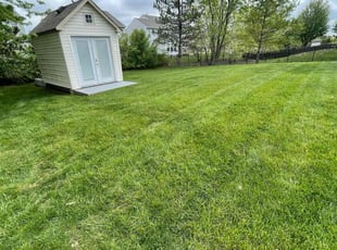 Dwayne M.'s lawn care services service result