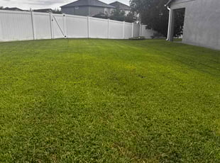 Ranavy R.'s turf maintenance service result