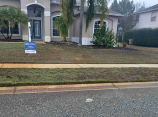 Steve M.'s grass maintenance service result