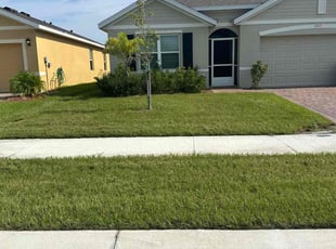 Robert B.'s lawn care services service result