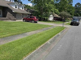 Jen D.'s yard service service result