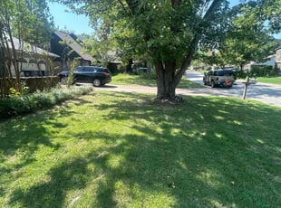 Matt M.'s grass cutting service result