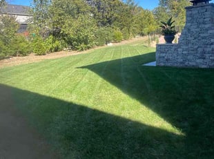 Mark M.'s grass cutting service result