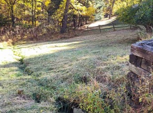 Sam H.'s lawn maintenance service result