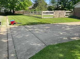 Cody C.'s lawn care service result