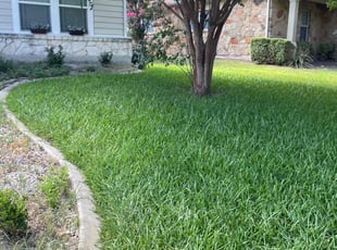 Rebecca W.'s yard maintenance service result