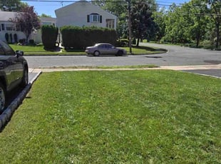 Hussein A.'s lawn care services service result