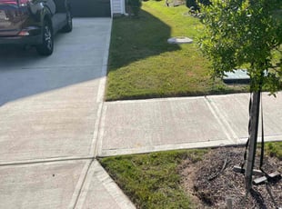 Ken M.'s lawn care services service result