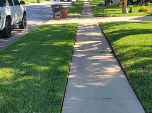 Faith H.'s turf care service result