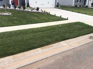 Charlene R.'s lawn care services service result