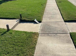 Courtney D.'s grass cutting service result