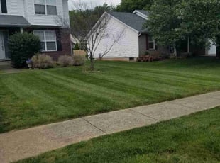Robert H.'s lawn service service result