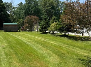 Victoria N.'s grass maintenance service result
