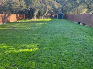 James C.'s turf maintenance service result