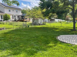 Eunice K.'s turf care service result