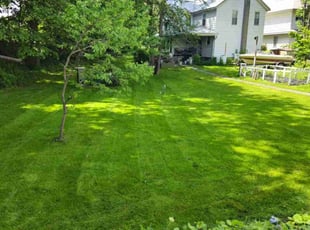 Alysia B.'s lawn care service result