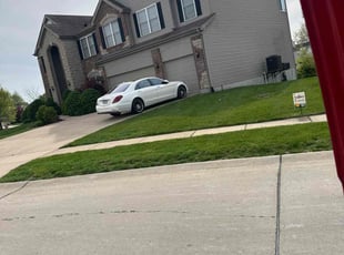 David F.'s grass cutting service result