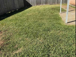 Juan M.'s lawn care services service result