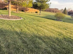 Blake Z.'s lawn maintenance service result