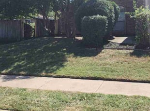 Rain H.'s turf maintenance service result