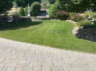 Kendra C.'s lawn care service result