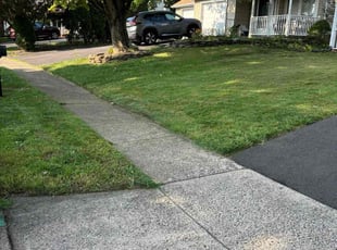 Morshida E.'s lawn care service result