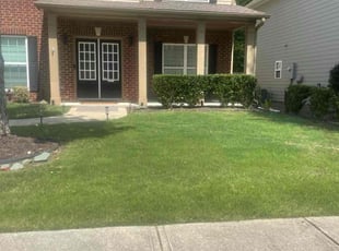 Patricia C.'s turf care service result