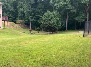 Tracy L.'s grass cutting service result