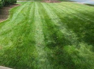 Richard Y.'s yard maintenance service result