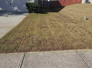 Ashley A.'s lawn maintenance service result