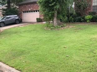 Sarah F.'s grass cutting service result