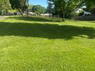 Victor L.'s grass maintenance service result