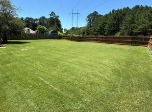 Erica B.'s grass cutting service result