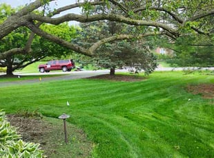 Josh O.'s turf maintenance service result